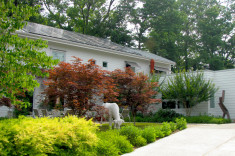 View of entrance highlighting raingarden and sculpture