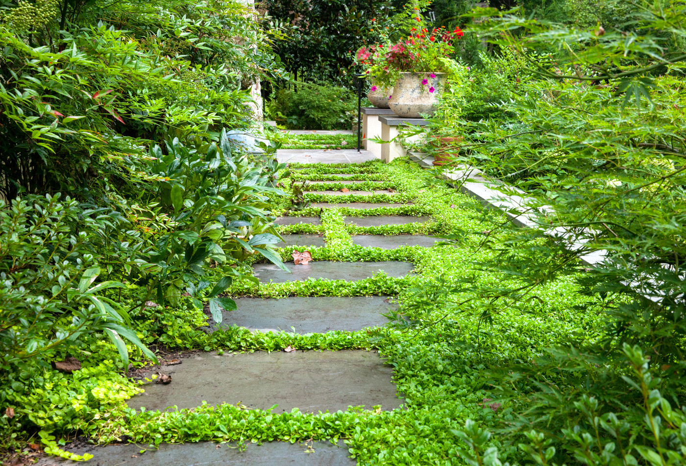 Forest Hills Terrace Garden - Jordan Honeyman