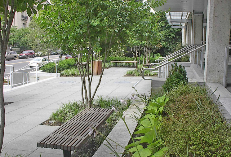 Upper entry plaza with tree plantings and site furnishings