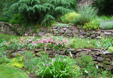 A terraced stone wall is seasonally transformed with color and bloom