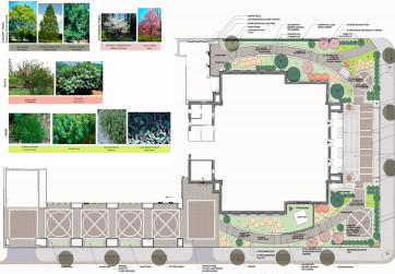 Plan view of planting scheme