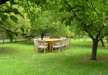 Orchard arranged for outdoor entertaining