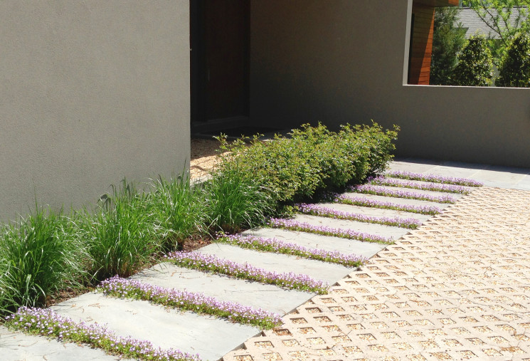 A sustainable porous drive is lined with a stone path planted with Mazus