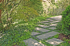A stone path enlivened with lush blooms draws guests deeper into the site