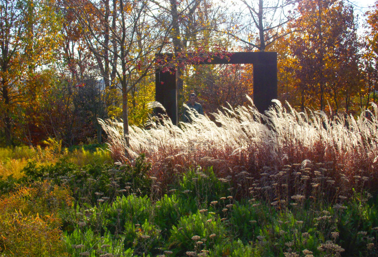 A modern meadow surrounds sculpture collection providing a dynamic setting that changes with the seasons