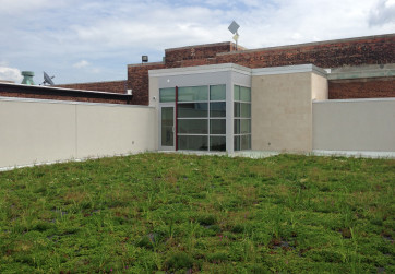 A green roof on this Capital Hill school reduces stormwater runoff